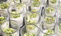 /album/galleria-foto-homepage/yogurt-e-zucchine-lesse-jpg/